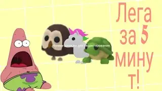 ШОК! Лега из яйца за 350! Как вылупить легу?