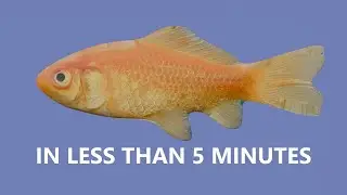 How to create a gold fish in Blender