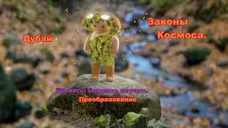 ОАЭ. Дубай. Преображение.