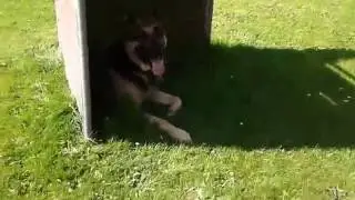 поиск кошелька