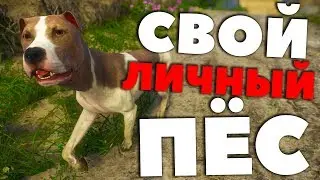 КАК ПРИРУЧИТЬ СОБАКУ! - Kingdom Come: Deliverance