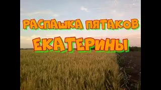 РАСПАШКА ПЯТАКОВ ЕКАТЕРИНЫ