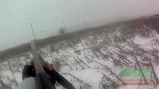 Охота на рябчика