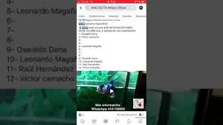 Últimos lugares para la rifa hembra koi galaxy