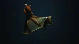 Close Encounter With a Vampire Squid | Nautilus Live