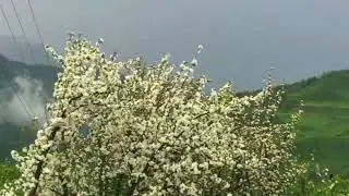 Дагестан, хупри.  ( Дидоэтия)