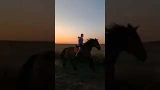 7 июня 2023 г.
