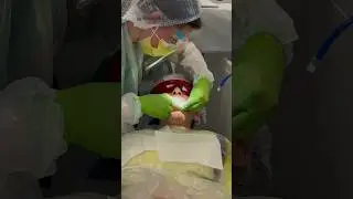 СИЛОЙ ЗАЛИЛИ МОЛОКО 