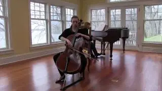 Kajsa-Stina Johansson, Cello