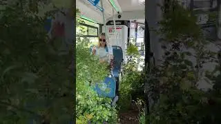 Что-то очень интересное