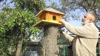 Кормушка для птиц. Своими руками.