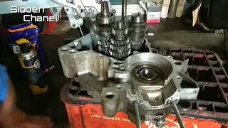 Rakit satria hiu 