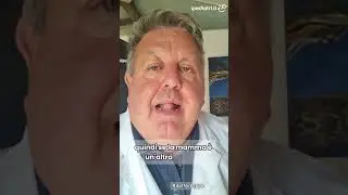 Non si stacca dalla mamma. Ha la mammite?
