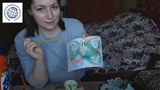 Бабочки