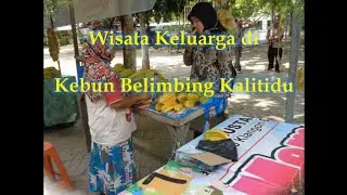 Wisata Keluarga di Kebun Belimbing Kalitidu