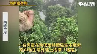 【一名男童在熱帶雨林體驗空中飛索途中發生意外遇上樹懶「堵路」】| 《高登新聞》高登討論區頻道 HKGolden CHANNEL
