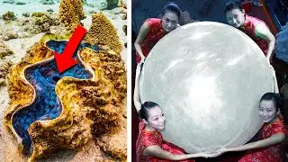 10 Biggest PEARLS Ever Found Inside Oysters