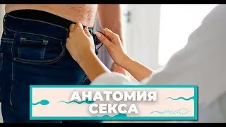 ORAL SEX – What You Need to Know? 