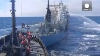Sea Shepherd activists convicted of disrupting whale hunt - News