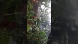 angin puting beliung sekitaran rumah bikin ngeri