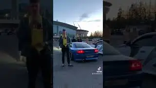 Грызу семечки на сливу Стилова 