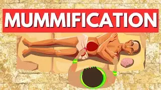 Mummification Process: Ancient Egypt