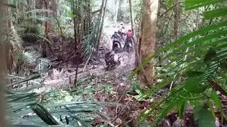 5ª trilha do Coyote