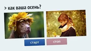 Любовь и Осень (Ночь на Земле 18+)