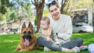 Sunday Fun day | German Shepherd & baby play with bubbles for the first time.