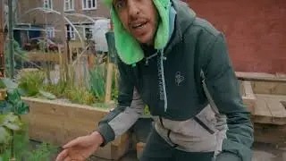INSPECKTA VEG - BACK TO THE GARDEN