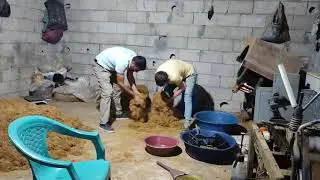 How Tobacco Is Processed - Adıyaman Tobacco