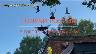 Питомник 