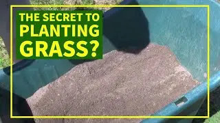 How To Plant Grass Seed Quickly and Easily