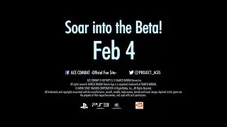 ACE COMBAT INFINITY SOAR INTO THE BETA
