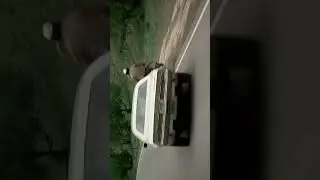 Пульсом бьет