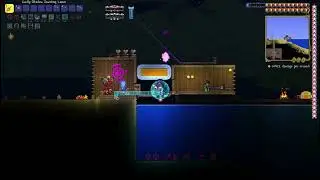 Terraria  Calamity THIS GUY NPC SCAM MY SWORD