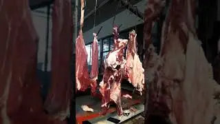 Chiroqchi dehqon  go'sht bozori/ Чиракчи мясной  базар