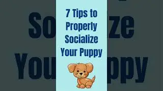7 Puppy Socialization Tips 