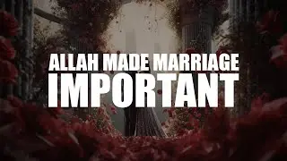 THE REASON WHY ALLAH MADE MARRIAGE IMPORTANT