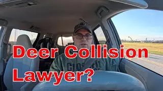 Do You Need an Attorney After Hitting a Deer?