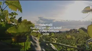 Collective[i] Executive Innovation Summit | Napa, California | 2018