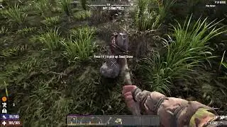 7 Days to Die - Version 1.0 Day 5