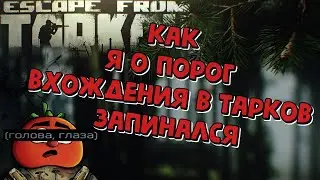 КАК НОВИЧОК В ТАРКОВЕ ЖИВЕТ ? #escapefromtarkov #game #twitch
