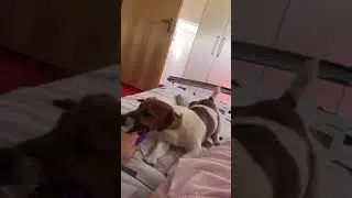 Eugene!!!!