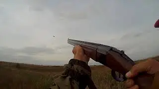 Охота на утку 4 2017 Счет 1 1