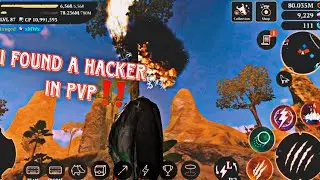 hacker in PvP without any cooldown for skills 😦|| The Wolf