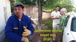Донжуан арусш кидат кад