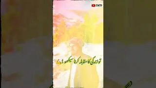Shorts| Mr360 | Rehan Ali Official| Quotations| YT #110rehanofficial