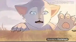 Коты воители синяя звезда бабы