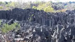 MADAGASCAR - The Grands Tsingy de Bemaraha